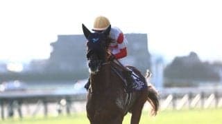 【大阪杯】ダノンデサイルは3枠4番、クロワデュノールは大外へ