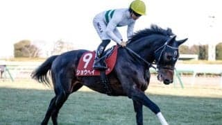 【大阪杯予想】距離短縮の馬は前走のレースに注意！ 人気の一角でも過去傾向や血統から評価を下げたい1頭とは