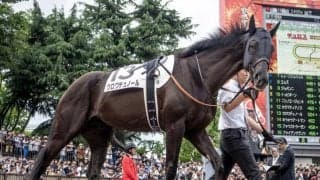 【大阪杯前日オッズ】クロワデュノールが2.5倍で1番人気