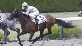 【阪神7R】ゴールデンホーン産駒 アークドールが2勝目