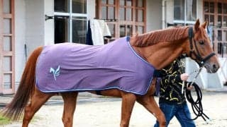 【大阪杯・特選有力馬チェック】国内外Ｇ１・３勝目を目指すダノンデサイルは買うべき？　