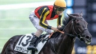 【AI予想・大阪杯】運も味方に世代最強を証明する！ 豪華メンバーで争われる一戦で人工知能が導き出した結論とは