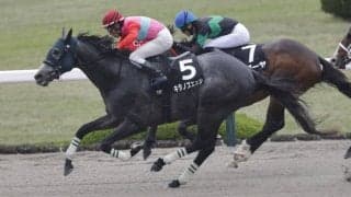 【ポラリスS】キタノズエッジがオープン2勝目…武豊ヤマニンウルスは12着