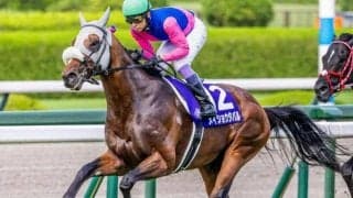 霜降り明星・粗品はメイショウタバルを信頼 大阪杯は3連単＆3連複で勝負だ