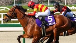大阪杯は1、2番人気のどちらかを軸に 年齢別では6歳以上が不振