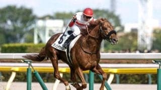 【大阪杯予想】春の中距離王者決定戦 瞬発力よりも持久力重視で