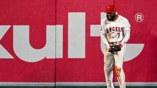 エ軍アデル、1試合3度のHRキャッチ　「1-0」ゲームを救う…9回は観客席に飛び込むも美技成立