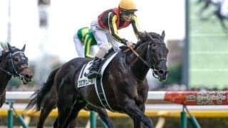 【大阪杯・馬体重】クロワデュノールは522kg(+10)、ダノンデサイルは516kg(+2)