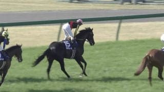 【大阪杯】1番人気クロワデュノールが25年ダービー馬の力見せつけ勝利！ 先行メイショウタバルは粘るも最後に力つく