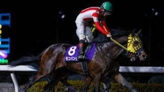 【川崎・クラウンC枠順】ニューイヤーC覇者モコパンチは3枠4番 東京ダービー前哨戦