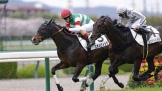 【阪神6R】良血エボルヴィングが2勝目…リスグラシュー全弟