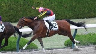 【阪神5R】シルバーレシオが人気に応えて2勝目