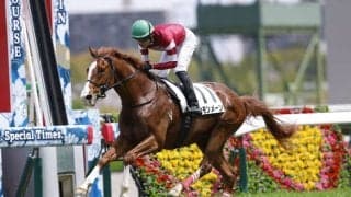 【阪神4R】1億6000万円の良血馬・カモンメーンが初勝利