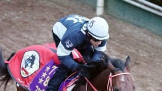 フォーエバーヤングなどドバイ遠征組の日本調教馬５頭が帰国　ガイアフォース、ルガルも