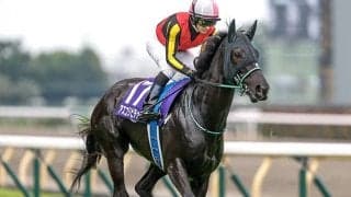 【阪神牝馬S】アスコリピチェーノ、エンブロイダリーなどが登録
