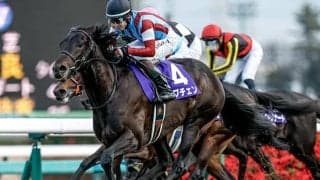 【皐月賞】ロブチェン、パントルナイーフなどが登録