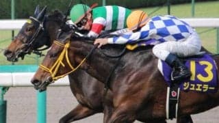 ジュエラーとシンハライトの一騎打ちから10年 16年桜花賞を振り返る