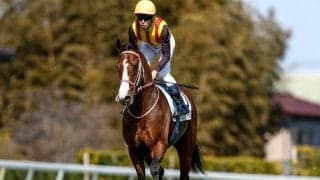 【ニュージーランドT見どころ】中山マイル2戦2勝のロデオドライブに注目