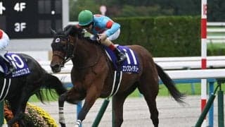 【阪神牝馬S見どころ】昨年の牝馬二冠エンブロイダリーなどGI馬3頭が競演