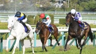 桜花賞勝ち時計ランキング 1位は白毛馬初のクラシックV