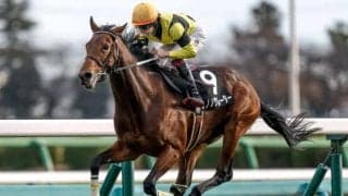 【皐月賞出走馬決定順】フルゲート18頭に対して21頭登録 サノノグレーターなど3頭が除外対象