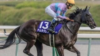 【先週のJRA抹消馬】短距離重賞5勝ナムラクレア、ダート牝馬路線で活躍したライオットガールなど