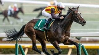 【桜花賞想定騎手】ドリームコアはC.ルメール騎手、スターアニスは松山弘平騎手