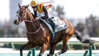 【ニュージーランドT想定騎手】ロデオドライブは津村明秀騎手、ゴーラッキーは横山武史騎手