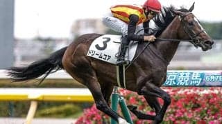 【AI予想・桜花賞】順当な結果が目立つ牝馬クラシック第一弾！ さすがの人工知能も人気馬には逆らえず