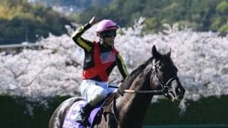 クロワデュノールは成長力を感じさせる血統 今後のさらなる充実に期待大