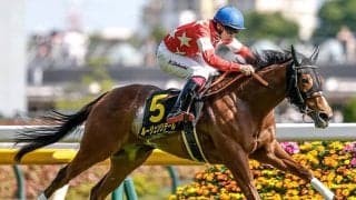 【阪神牝馬S展望】充実の4歳馬ルージュソリテールが重賞制覇を狙う