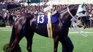 初代三冠牝馬誕生から40年 メジロラモーヌが制した桜花賞を回想