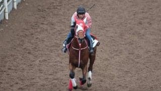 リアライズグリントなど、先週の入厩情報/栗東トレセンニュース