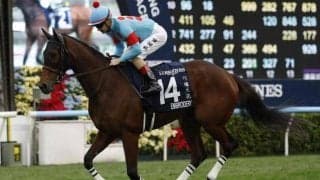 【阪神牝馬S予想オッズ】エンブロイダリーが予想1番人気