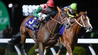 【川崎・クラウンC結果】シーテープが人気に応え重賞初制覇