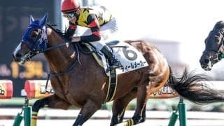 【ニュージーランドT展望】連勝で勢いに乗るディールメーカーに期待