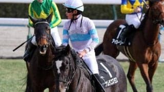 【桜花賞】田口貫太騎手がGI初制覇なるか チューリップ賞2着のナムラコスモスで参戦