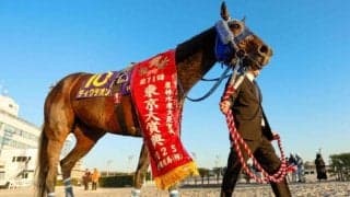 【川崎記念注目馬】1着賞金1億円の大一番 地方年度代表馬ディクテオンなど好メンバー集結