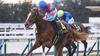 【桜花賞】高杉吏麒騎手がGI初制覇なるか エルフィンS覇者のスウィートハピネスで参戦