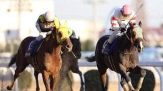 史上2頭目の川崎記念3連覇から10年 ホッコータルマエの功績はレース名に残る