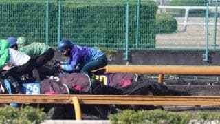 ロブチェン、皐月賞賞1週前追い切り速報/栗東トレセンニュース