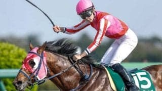 【アンタレスS想定】サンデーファンデー、ジューンアヲニヨシなど19頭