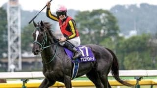 【阪神牝馬S】GI馬3頭が激突 ヴィクトリアMの主役となるのはどの馬か