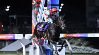 【川崎記念】カゼノランナーが交流G1初制覇…アウトレンジは3着