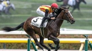 【桜花賞予想】強調材料多数で不安なし!? AIが指名した推奨馬とは