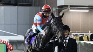 【川崎記念】西村淳「能力を信じていました」JRAカゼノランナーが交流G1初制覇