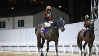 【川崎記念】地方年度代表馬・ディクテオンは5着まで…矢野「馬場乾いていた方がいい」