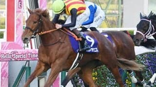 【桜花賞展望】阪神JFから直行する2歳女王スターアニスが中心