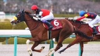 スウィープフィートが引退、繁殖入り