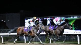 【川崎記念】1番人気アウトレンジは3着まで…坂井瑠「力は出してくれた」レース後ジョッキーコメント